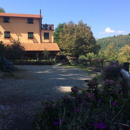 La Taverna Del Nonno Borzonasca Eksteriør bilde